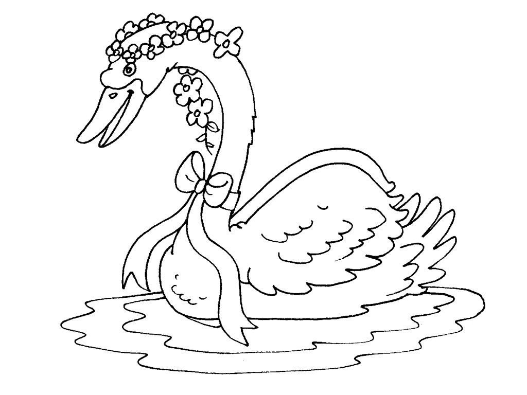 Coloriage Cygne 26 Coloriage Cygnes Coloriages Animaux