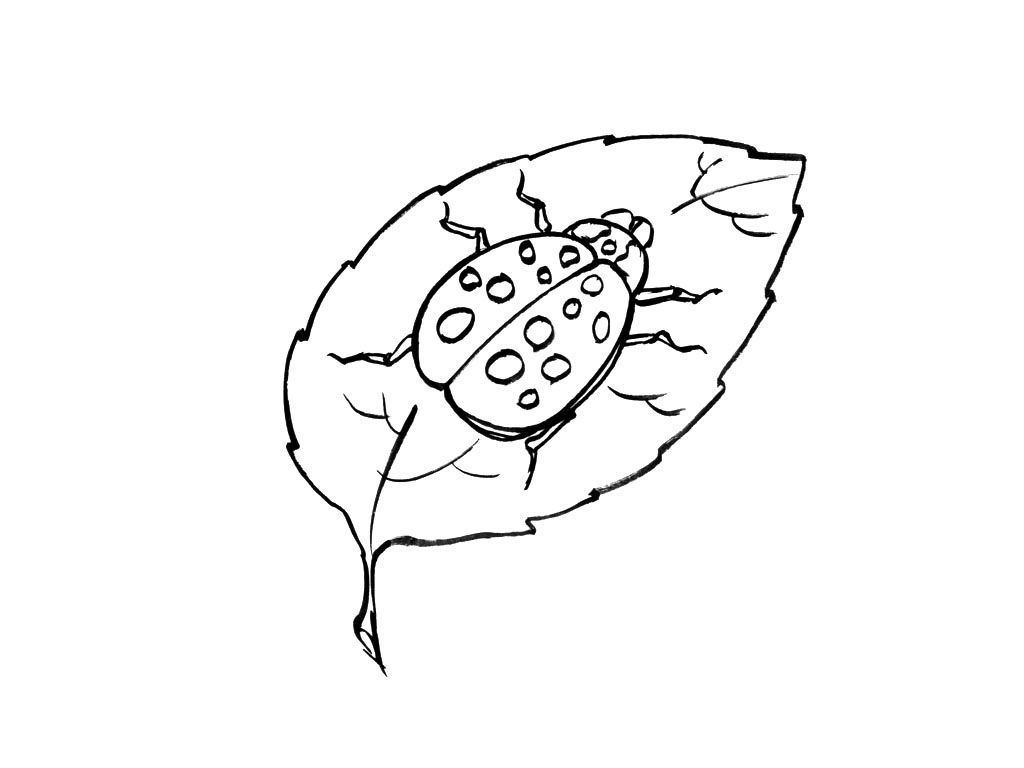 Insecte 2 - Coloriages Animaux - Insectes