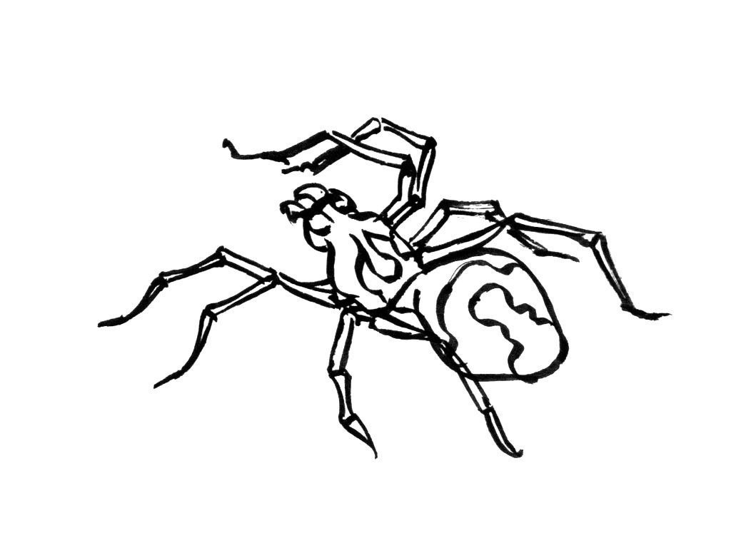 Insecte 3 - Coloriages Animaux - Insectes