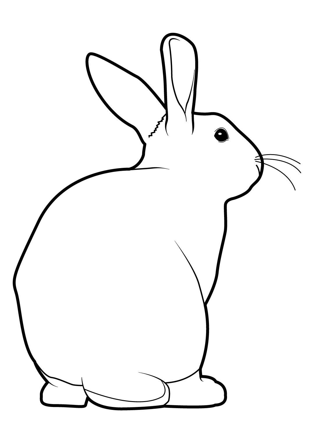Coloriage Lapin 14  Coloriage Lapins  Coloriages Animaux