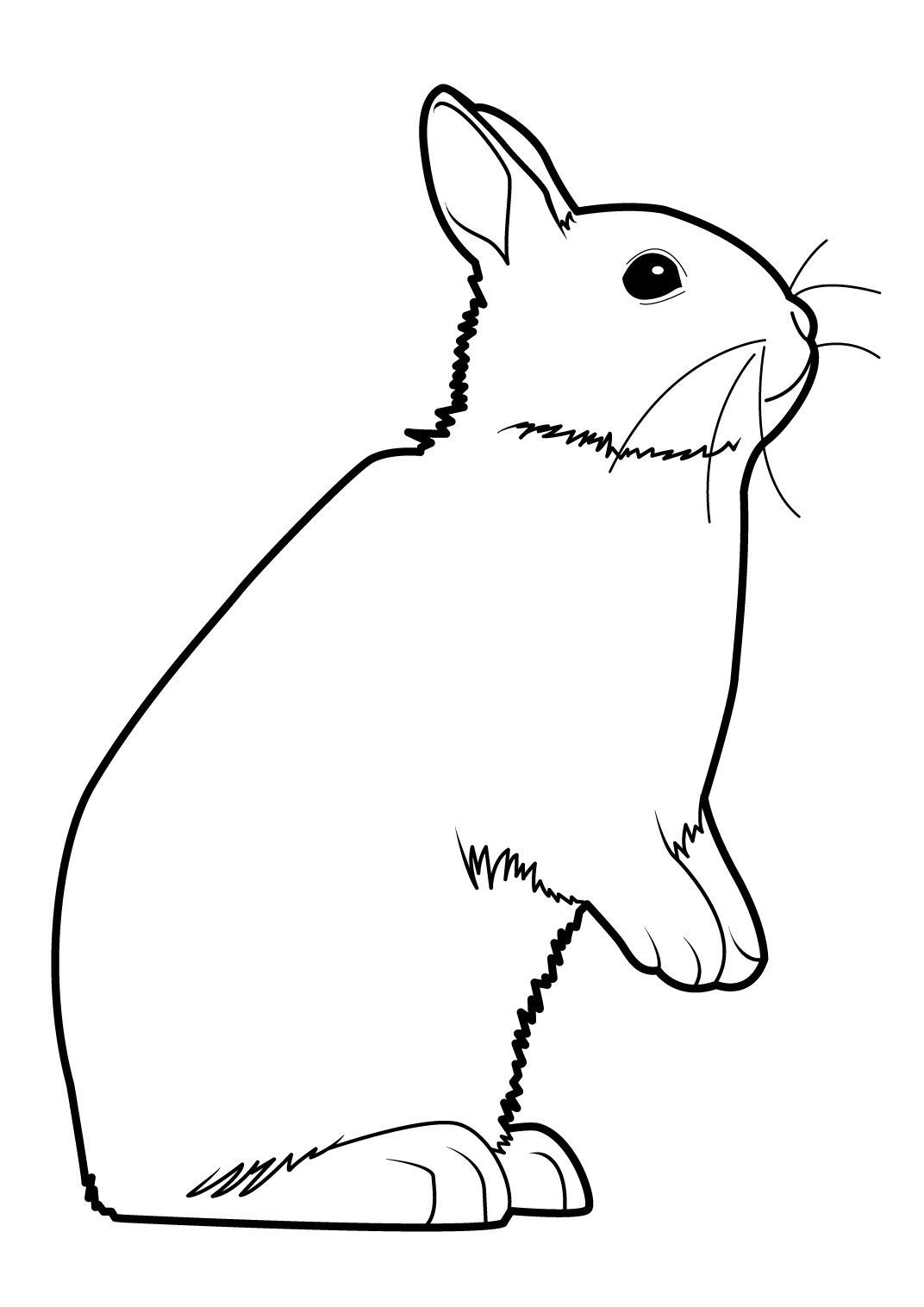 Coloriage Lapin 16  Coloriage Lapins  Coloriages Animaux