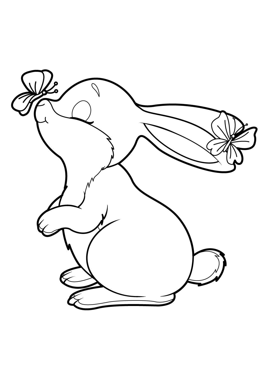 Lapin 17 Coloriages Animaux Lapins