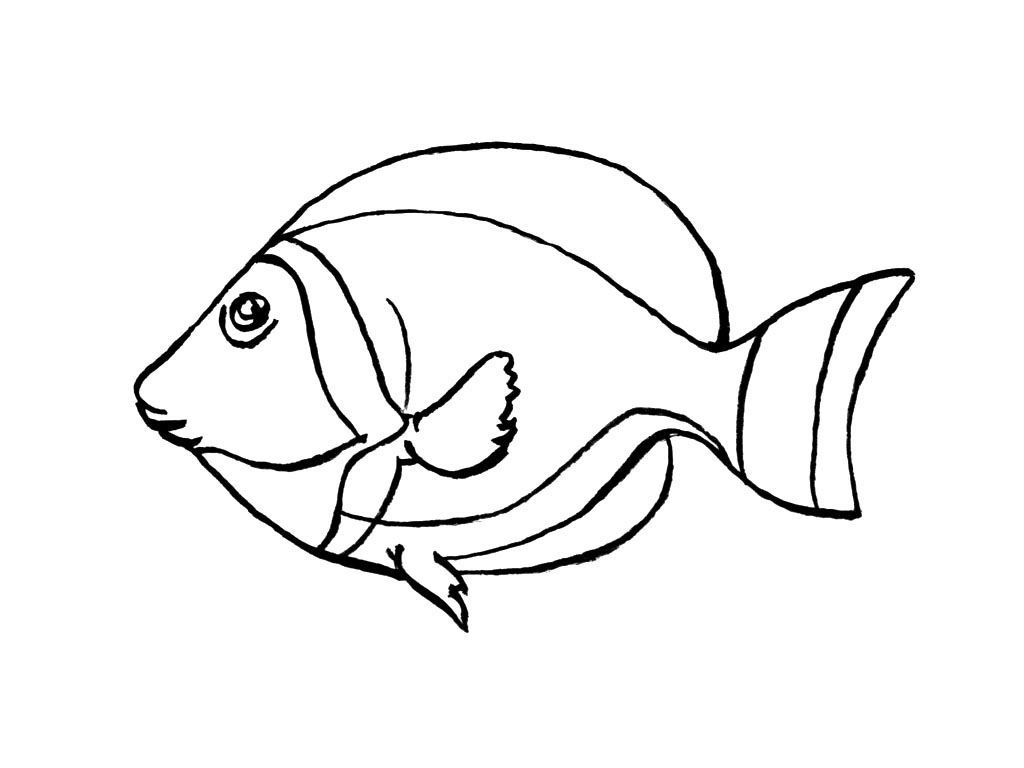 Poisson 11 - Coloriages Animaux - Poissons