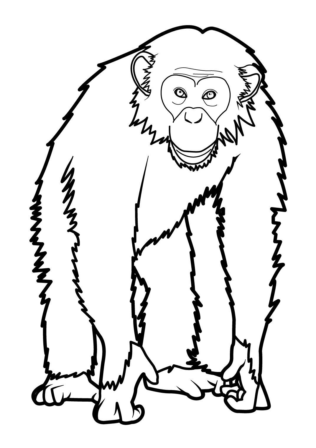 Singe 3 - Coloriages Animaux - Singes