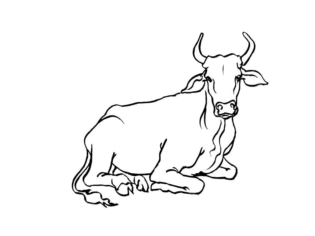 Coloriage Vache 3  Coloriage Vaches  Coloriages Animaux