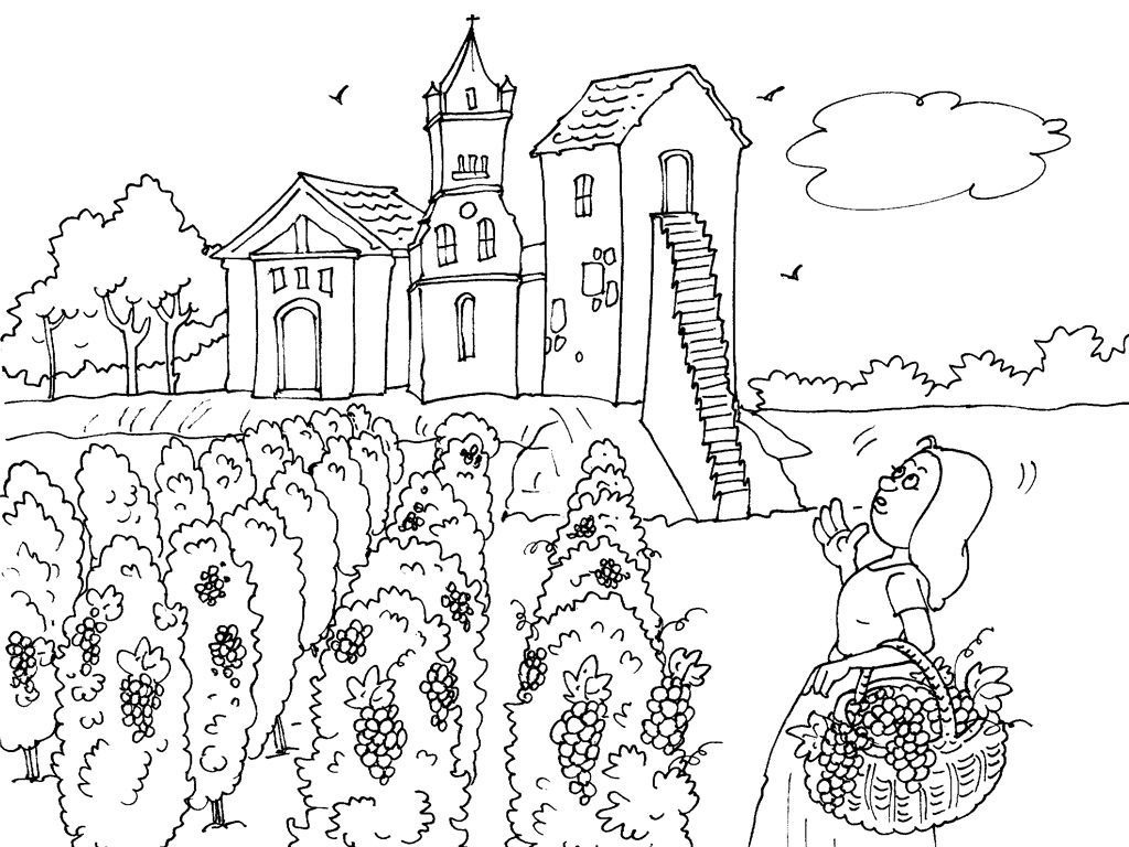 Coloriage De Vigne Avec Une Qualité HD - Defond