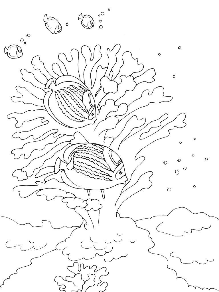Coloriage Mer 2 - Coloriage Mer - Coloriages Nature