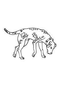 Coloriages Chiens A Imprimer Coloriages Animaux