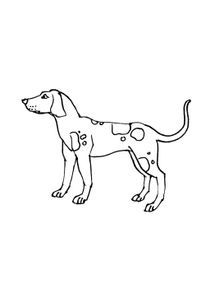 Coloriages Chiens A Imprimer Coloriages Animaux