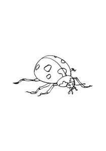 Coloriages Coccinelles A Imprimer Coloriages Animaux