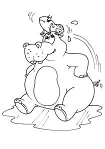 Coloriages Hippopotames A Imprimer Coloriages Animaux