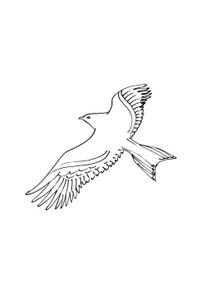 Coloriages Oiseaux A Imprimer Coloriages Animaux