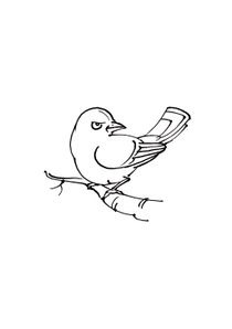 Coloriages Oiseaux A Imprimer Coloriages Animaux