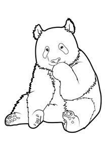 Coloriages Pandas A Imprimer Coloriages Animaux