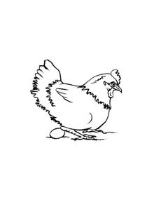 Coloriages Poules A Imprimer Coloriages Animaux