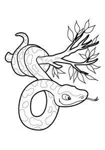 Coloriages Serpents à Imprimer Coloriages Animaux