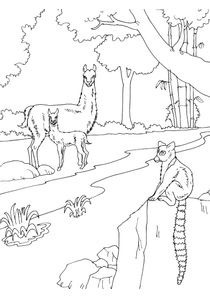 Coloriages Zoo A Imprimer Coloriages Animaux