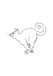 Coloriages Chats à imprimer - Coloriages Animaux