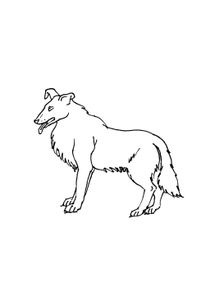 Coloriages Chiens à imprimer - Coloriages Animaux