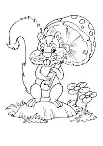 Coloriages Ecureuils à imprimer - Coloriages Animaux