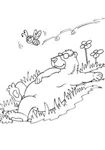 Coloriages Ours à imprimer  Coloriages Animaux