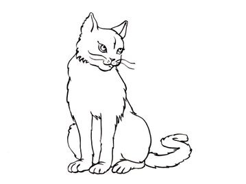 Gulli - 😻 En plus d'être troooop mignons, les chats sont des anti-stress !  😂😂 Tu le savais ?