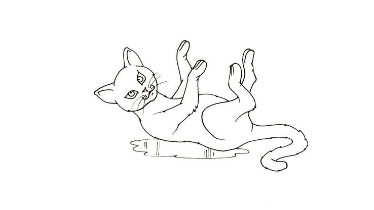 Coloriage Chats - Chat 1 