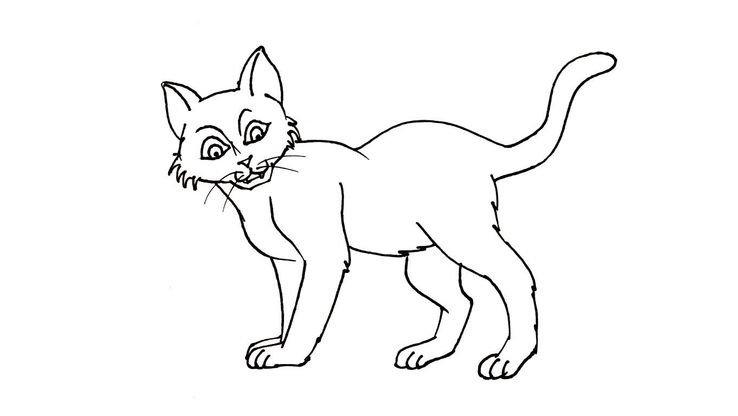 Coloriage Chats - Chat 10 
