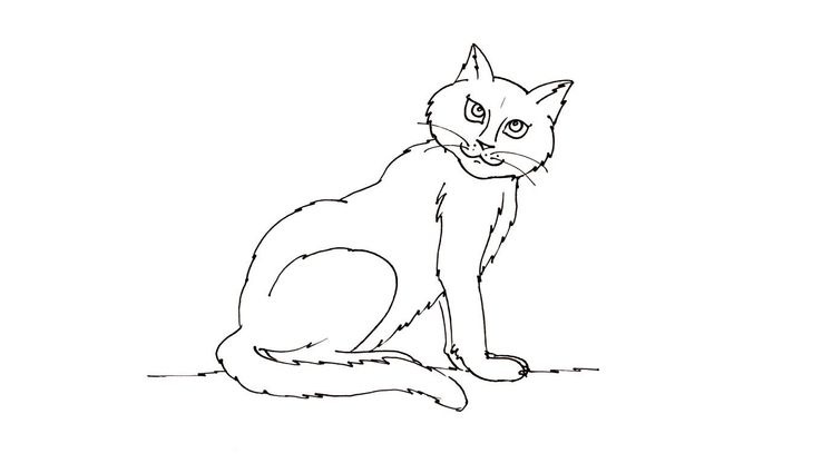 Coloriage Chats - Chat 3 