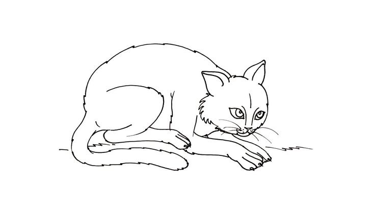 Coloriage Chats - Chat 4 