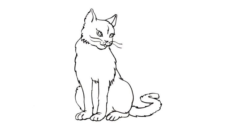 Coloriage Chats - Chat 5 