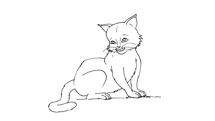 Coloriage Chats - Chat 6 