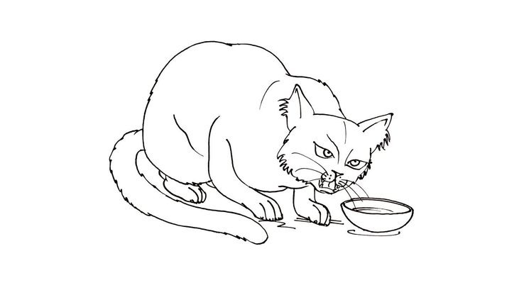 Coloriage Chats - Chat 7 