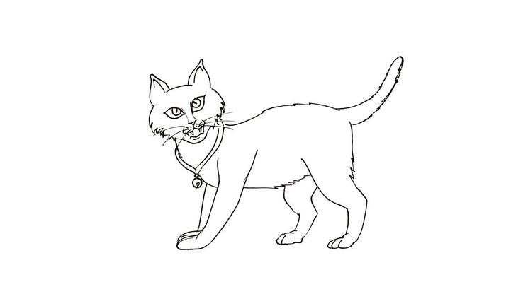 Coloriage Chats - Chat 8 