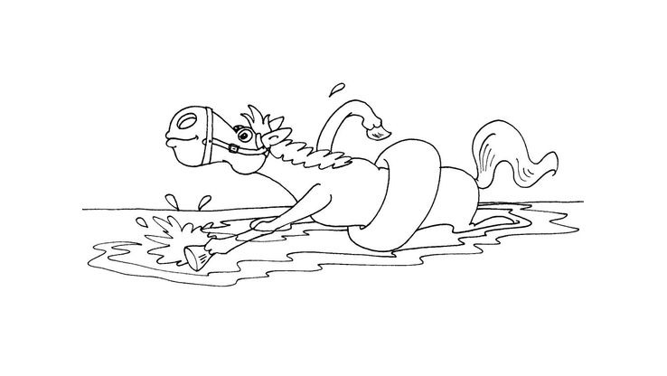 Coloriage Chevaux - Cheval 24 