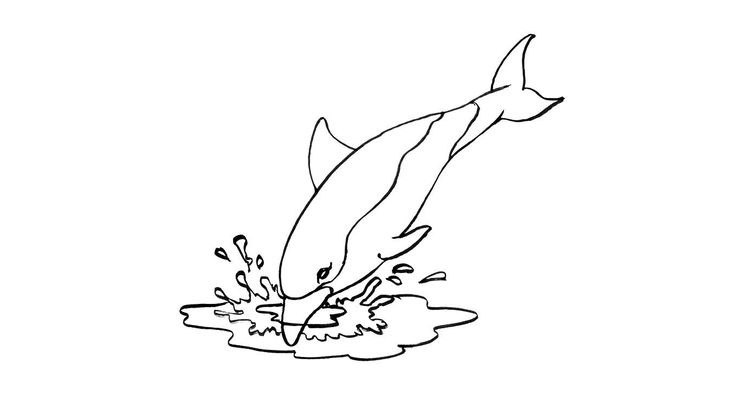 Coloriage Dauphins - Dauphin 10 