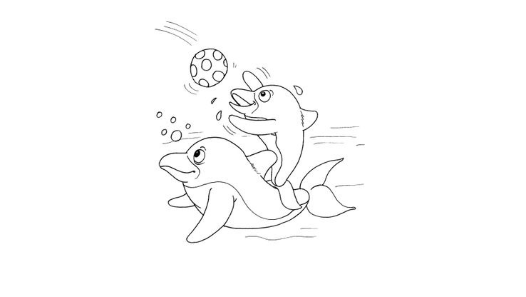 Coloriage Dauphins - Dauphin 18 