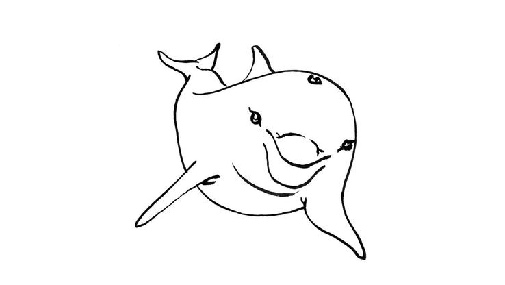Coloriage Dauphins - Dauphin 5 