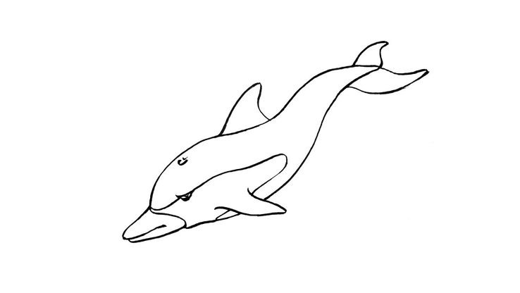 Coloriage Dauphins - Dauphin 8 