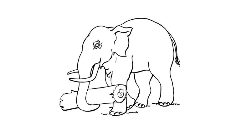 Coloriage Elephant 4 Coloriage Elephants Coloriages Animaux Coloriage Elephant 4 Coloriage Elephants Coloriages Animaux