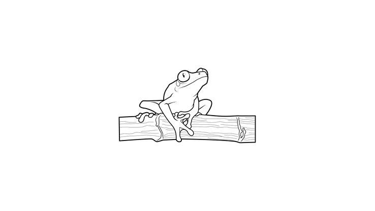 Coloriage Grenouilles - Grenouille 5 