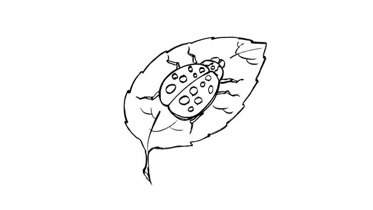 Coloriage Insectes - Insecte 2 