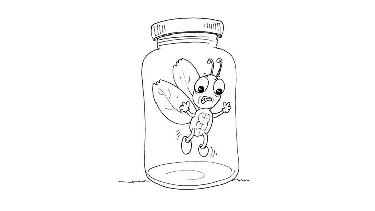 Coloriage Insectes - Insecte 22 