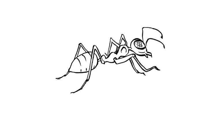 Coloriage Insectes - Insecte 5 