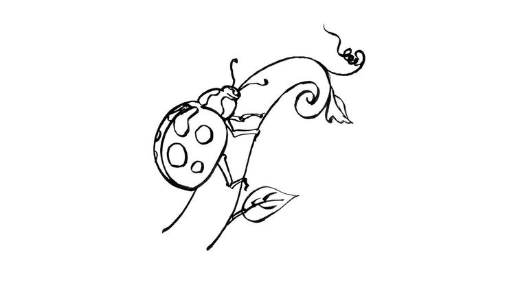Coloriage Insectes - Insecte 7 