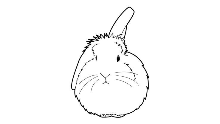 Coloriage Lapins - Lapin 10 
