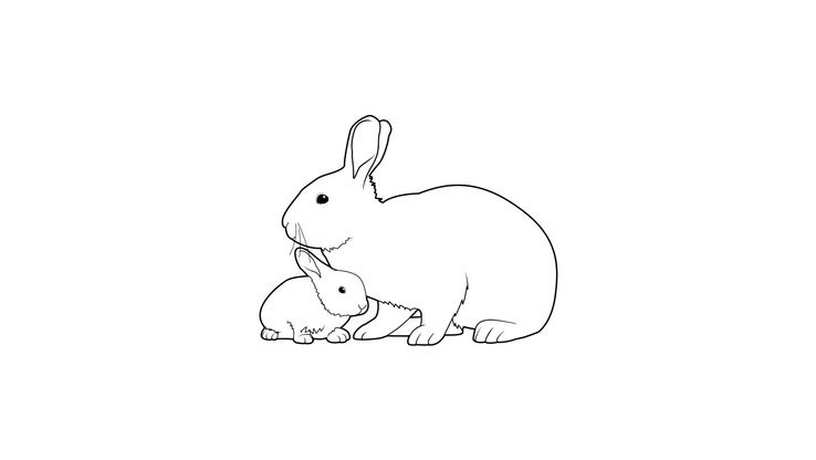 Coloriage Lapins - Lapin 6 