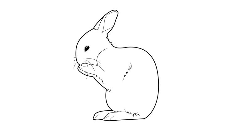 Coloriage Lapins - Lapin 7 
