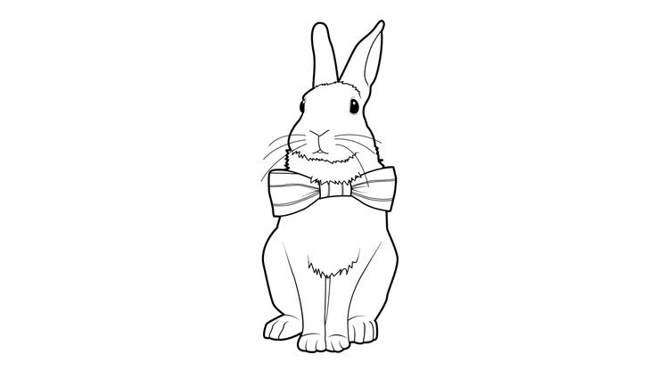 Coloriage Lapins - Lapin 9 