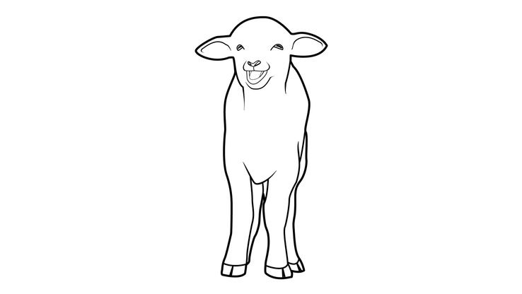 Coloriage Moutons - Mouton 4 
